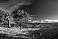 hdrl bw
